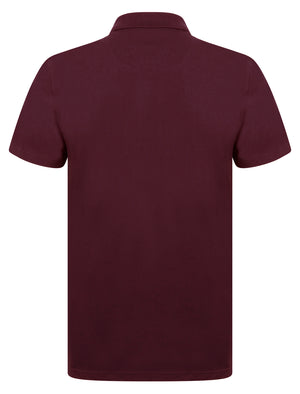 Wells 2 Cotton Jersey Polo Shirt with Zip Fasten Collar in Zinfandel - Kensington Eastside