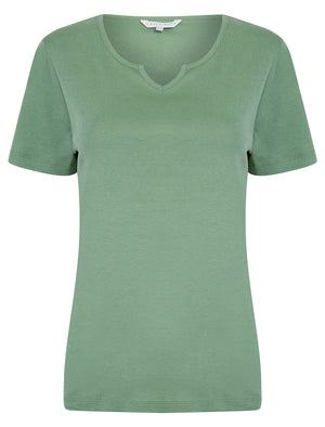 Calandra Plain 100% Cotton Notch Neck T-Shirt in Green Bay - Amara Reya