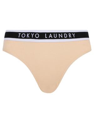 Fran (5 Pack) Cotton Assorted Briefs in Jet Stream / Jet Black / Smoke Gray - Tokyo Laundry
