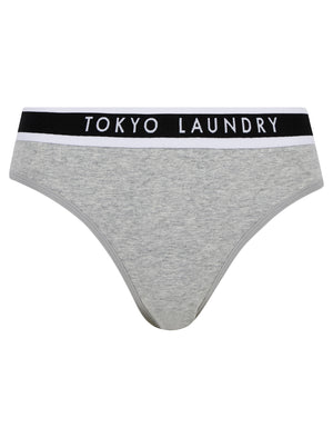 Fran (5 Pack) Cotton Assorted Briefs in Jet Black / Smoke Gray / Fairy Wren / Light Grey Marl / Deep Sea Coral - Tokyo Laundry