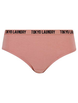 Molly (5 Pack) Cotton Assorted Briefs in Light Grey Marl / Thistle / Ash Rose / Maroon Banner / Majesty - Tokyo Laundry