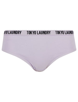 Molly (5 Pack) Cotton Assorted Briefs in Light Grey Marl / Thistle / Ash Rose / Maroon Banner / Majesty - Tokyo Laundry
