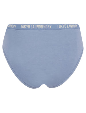 Francesca (5 Pack) Cotton Assorted Briefs in Peacoat Blue / Stonewash / Skywriting / Light Grey Marl - Tokyo Laundry