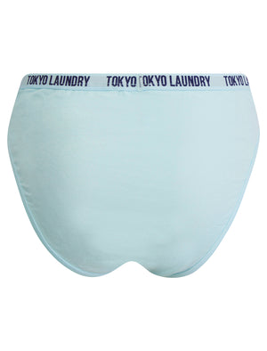 Francesca (5 Pack) Cotton Assorted Briefs in Peacoat Blue / Stonewash / Skywriting / Light Grey Marl - Tokyo Laundry