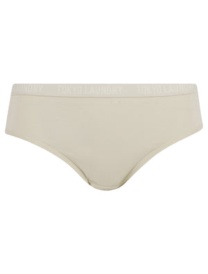 Molly Beth (3 Pack) Cotton Assorted Briefs in Tawny Brown / Egret / Gray Morn - Tokyo Laundry