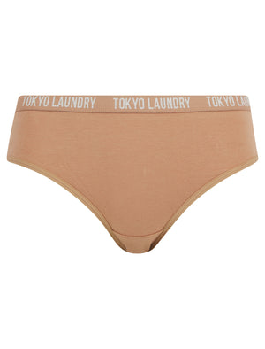 Molly Beth (3 Pack) Cotton Assorted Briefs in Tawny Brown / Egret / Gray Morn - Tokyo Laundry