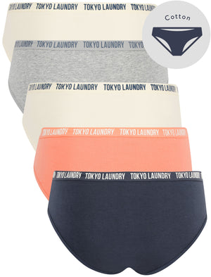 Alice (5 Pack) Cotton Assorted Briefs in Jet Stream / Light Grey Marl / Terracotta / Ombre Blue - Tokyo Laundry