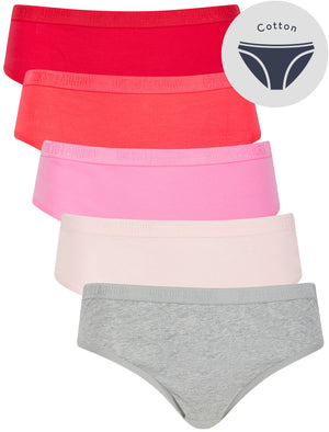 Hollie (5 Pack) Cotton Assorted Briefs in Light Grey Marl / Barely Pink / Sachet Pink / Paradise Pink / Barberry - Tokyo Laundry