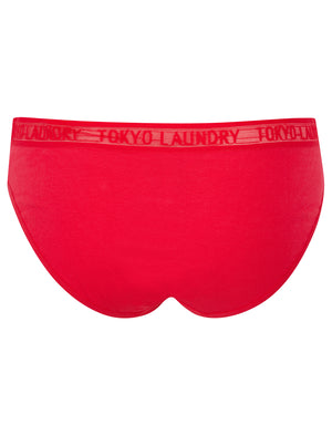 Elvie (5 Pack) Cotton Assorted Briefs with Mesh Waistband in Blue Mist / Navy Blazer / Rose Red / Icy Pink  - Tokyo Laundry