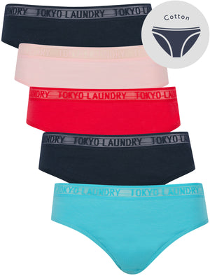 Elvie (5 Pack) Cotton Assorted Briefs with Mesh Waistband in Blue Mist / Navy Blazer / Rose Red / Icy Pink  - Tokyo Laundry