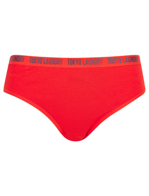 Zara (5 Pack) Cotton Assorted Briefs in Navy Blazer / Fiery Red / Forget-Me-Not Blue / Jet Stream White - Tokyo Laundry