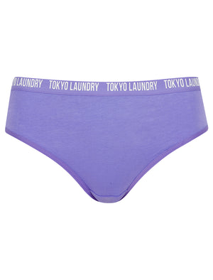 Melissa (5 Pack) Cotton Assorted Briefs in Mars Red / Purple Wine / Dahlia Purple / Jet Stream White / Navy Blazer - Tokyo Laundry