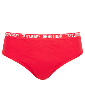 Melissa (5 Pack) Cotton Assorted Briefs in Mars Red / Purple Wine / Dahlia Purple / Jet Stream White / Navy Blazer - Tokyo Laundry