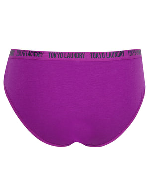 Melissa (5 Pack) Cotton Assorted Briefs in Mars Red / Purple Wine / Dahlia Purple / Jet Stream White / Navy Blazer - Tokyo Laundry