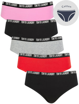 Zara 3 (5 Pack) Cotton Assorted Briefs in Moonlight Mauve / Jet Black / Light Grey Marl / Mars Red - Tokyo Laundry