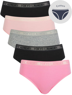 Ayla 4 (5 Pack) Cotton Assorted Briefs with Mesh Waistband in Moonlight Mauve / Jet Black / Light Grey Marl / Bleached Mauve - Tokyo Laundry