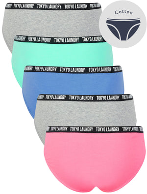 Zara 7 (5 Pack) Cotton Assorted Briefs in Pink Cosmos / Light Grey Marl / Blue Bonnet / Pool Blue - Tokyo Laundry