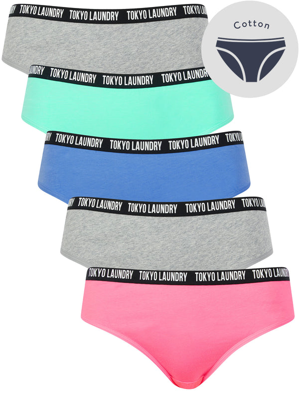Zara 7 (5 Pack) Cotton Assorted Briefs in Pink Cosmos / Light Grey Marl / Blue Bonnet / Pool Blue - Tokyo Laundry