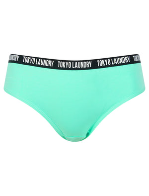Zara 7 (5 Pack) Cotton Assorted Briefs in Pink Cosmos / Light Grey Marl / Blue Bonnet / Pool Blue - Tokyo Laundry