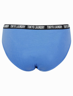 Zara 7 (5 Pack) Cotton Assorted Briefs in Pink Cosmos / Light Grey Marl / Blue Bonnet / Pool Blue - Tokyo Laundry