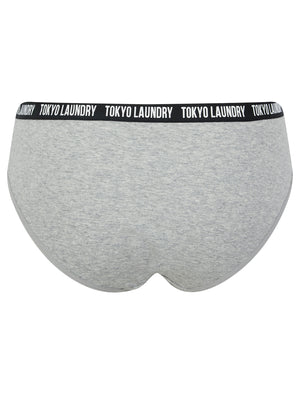 Zara 7 (5 Pack) Cotton Assorted Briefs in Pink Cosmos / Light Grey Marl / Blue Bonnet / Pool Blue - Tokyo Laundry