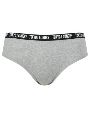 Zara 7 (5 Pack) Cotton Assorted Briefs in Pink Cosmos / Light Grey Marl / Blue Bonnet / Pool Blue - Tokyo Laundry