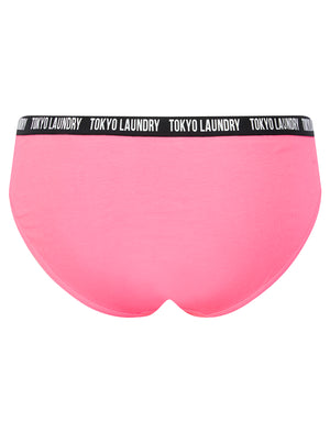 Zara 7 (5 Pack) Cotton Assorted Briefs in Pink Cosmos / Light Grey Marl / Blue Bonnet / Pool Blue - Tokyo Laundry