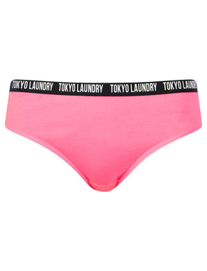 Zara 7 (5 Pack) Cotton Assorted Briefs in Pink Cosmos / Light Grey Marl / Blue Bonnet / Pool Blue - Tokyo Laundry