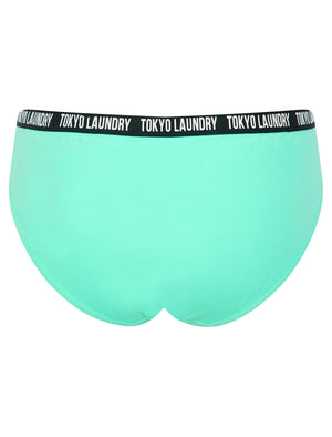 Zara 7 (5 Pack) Cotton Assorted Briefs in Pink Cosmos / Light Grey Marl / Blue Bonnet / Pool Blue - Tokyo Laundry
