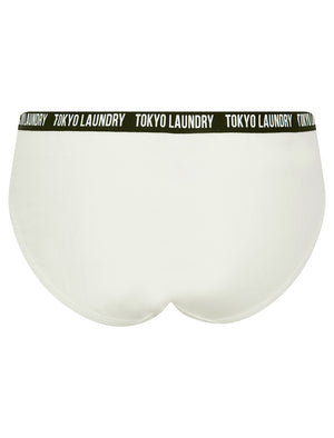 Zara 8 (5 Pack) Cotton Assorted Briefs in Parakeet Green / Birds Egg Green / Light Grey Marl / Gray Blue / Sugar Swizzle - Tokyo Laundry
