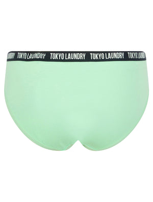 Zara 8 (5 Pack) Cotton Assorted Briefs in Parakeet Green / Birds Egg Green / Light Grey Marl / Gray Blue / Sugar Swizzle - Tokyo Laundry