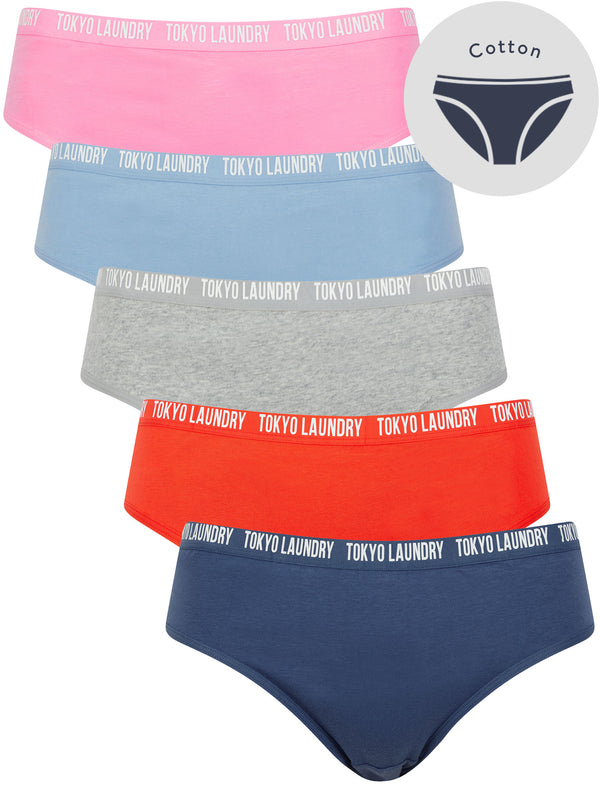 Zara 9 (5 Pack) Cotton Assorted Briefs in Gray Blue / Poppy Red / Light Grey Marl / Hydrangea Blue / Begonia Pink - Tokyo Laundry