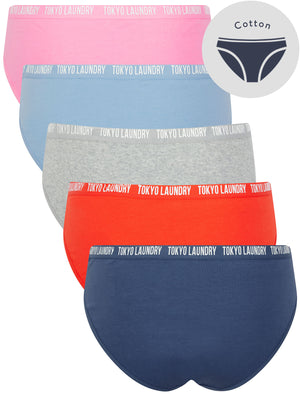 Zara 9 (5 Pack) Cotton Assorted Briefs in Gray Blue / Poppy Red / Light Grey Marl / Hydrangea Blue / Begonia Pink - Tokyo Laundry