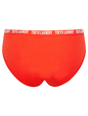 Zara 9 (5 Pack) Cotton Assorted Briefs in Gray Blue / Poppy Red / Light Grey Marl / Hydrangea Blue / Begonia Pink - Tokyo Laundry
