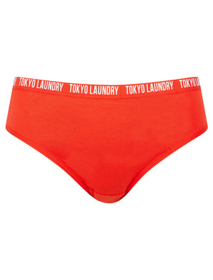 Zara 9 (5 Pack) Cotton Assorted Briefs in Gray Blue / Poppy Red / Light Grey Marl / Hydrangea Blue / Begonia Pink - Tokyo Laundry