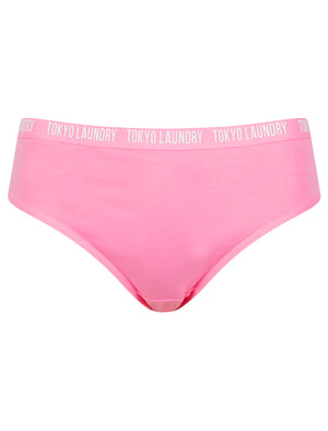 Zara 9 (5 Pack) Cotton Assorted Briefs in Gray Blue / Poppy Red / Light Grey Marl / Hydrangea Blue / Begonia Pink - Tokyo Laundry