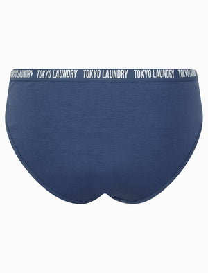 Zara 9 (5 Pack) Cotton Assorted Briefs in Gray Blue / Poppy Red / Light Grey Marl / Hydrangea Blue / Begonia Pink - Tokyo Laundry