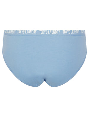 Zara 9 (5 Pack) Cotton Assorted Briefs in Gray Blue / Poppy Red / Light Grey Marl / Hydrangea Blue / Begonia Pink - Tokyo Laundry