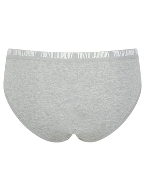 Zara 9 (5 Pack) Cotton Assorted Briefs in Gray Blue / Poppy Red / Light Grey Marl / Hydrangea Blue / Begonia Pink - Tokyo Laundry