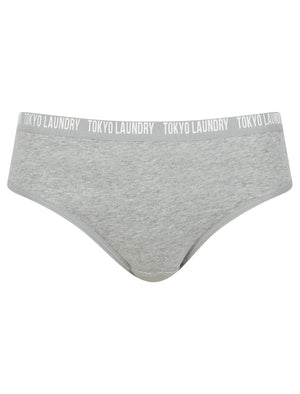 Zara 9 (5 Pack) Cotton Assorted Briefs in Gray Blue / Poppy Red / Light Grey Marl / Hydrangea Blue / Begonia Pink - Tokyo Laundry