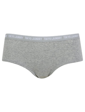 Esther (5 Pack) Assorted Stretch Cotton Briefs in Jet Black / Bright White / Jet Stream / Light Grey Marl - Tokyo Laundry