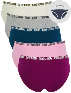 Zara 14 (5 Pack) Assorted Stretch Cotton Briefs in Magenta Purple / Lilac Sachet / Gibraltar Sea / Light Grey Marl / Snow White - Tokyo Laundry