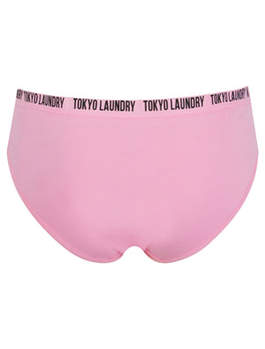 Zara 14 (5 Pack) Assorted Stretch Cotton Briefs in Magenta Purple / Lilac Sachet / Gibraltar Sea / Light Grey Marl / Snow White - Tokyo Laundry