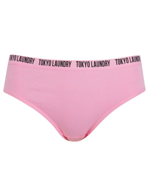 Zara 14 (5 Pack) Assorted Stretch Cotton Briefs in Magenta Purple / Lilac Sachet / Gibraltar Sea / Light Grey Marl / Snow White - Tokyo Laundry
