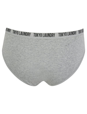Zara 14 (5 Pack) Assorted Stretch Cotton Briefs in Magenta Purple / Lilac Sachet / Gibraltar Sea / Light Grey Marl / Snow White - Tokyo Laundry