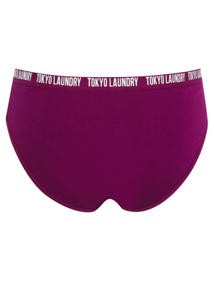 Zara 14 (5 Pack) Assorted Stretch Cotton Briefs in Magenta Purple / Lilac Sachet / Gibraltar Sea / Light Grey Marl / Snow White - Tokyo Laundry