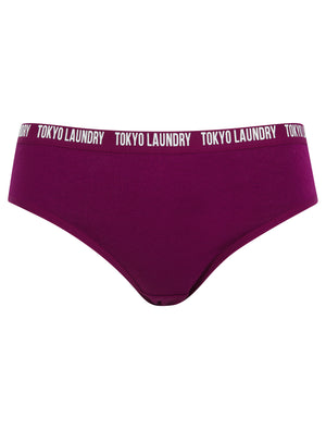 Zara 14 (5 Pack) Assorted Stretch Cotton Briefs in Magenta Purple / Lilac Sachet / Gibraltar Sea / Light Grey Marl / Snow White - Tokyo Laundry