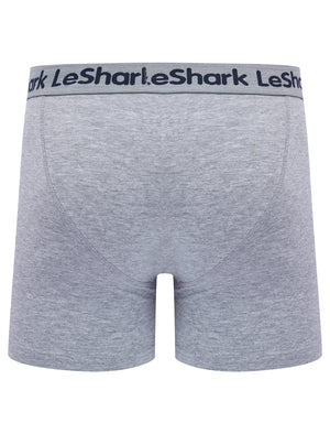 Stefton (2 Pack) Pinstripe Boxer Shorts Set in Blue Bell / Light Grey Marl - Le Shark