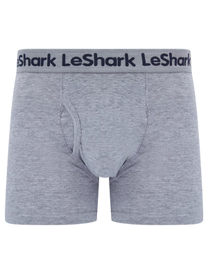 Trent (2 Pack) Pinstripe Boxer Shorts Set in Blue Bell / Light Grey Marl - Le Shark