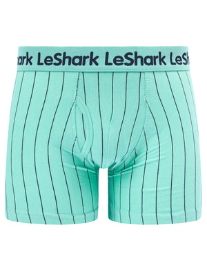 Stefton (2 Pack) Pinstripe Boxer Shorts Set in Dusty Jade Green / Limoges Blue - Le Shark